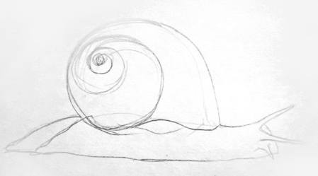 449x249 How To Draw A Snail