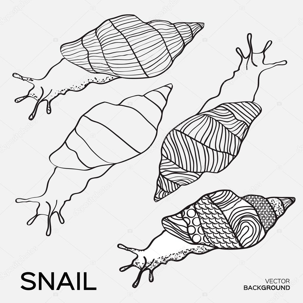 1024x1024 Monochrome Silhouettes Of Snail Drawing Outline Stock Vector
