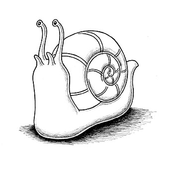 350x352 Snail Creativeliz