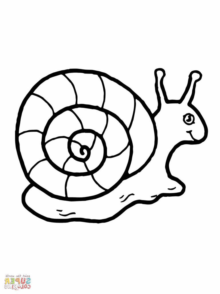 768x1024 Snail Drawing