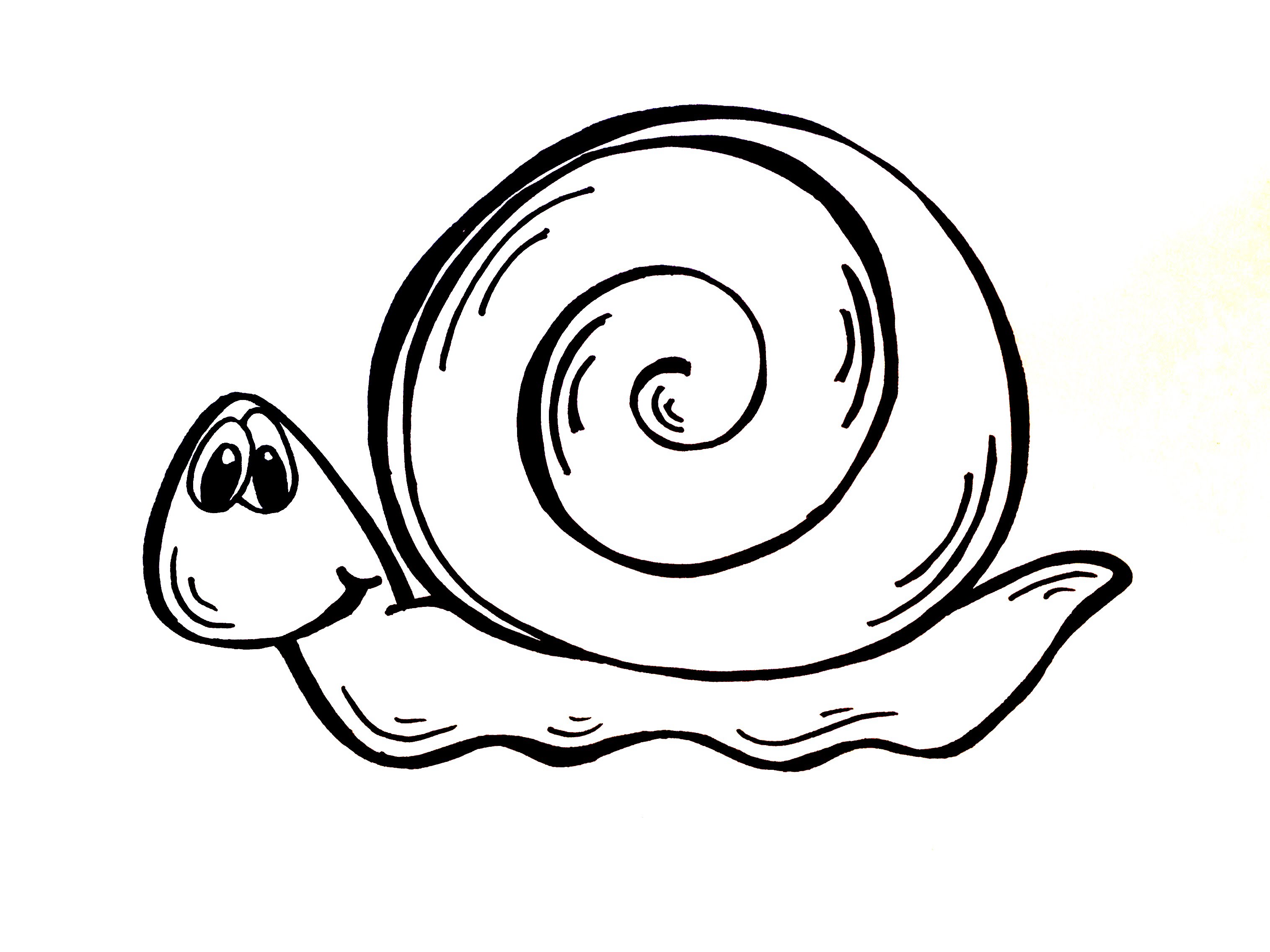 3031x2273 Drawing Lesson How To Draw A Snail