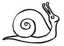 207x150 Drawing Of A Snail Coloring Free