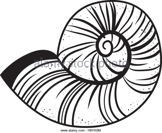 640x526 Snail Shell Not Disturb Sign Stock Photos Amp Snail Shell Not
