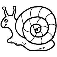 200x200 Snail Shell Coloring Pages Surfnetkids
