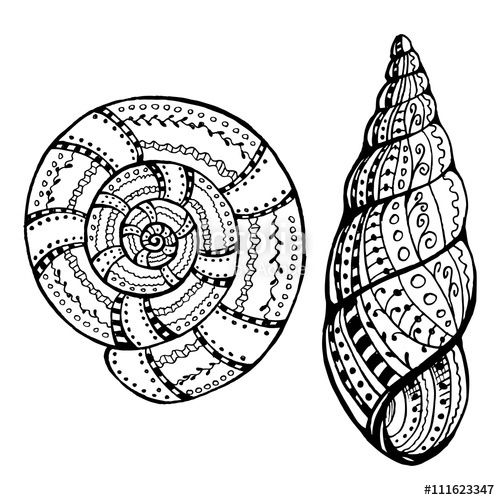 500x500 Two Shell Snails Doodle Zentangle Under The Sea Coloring Pages