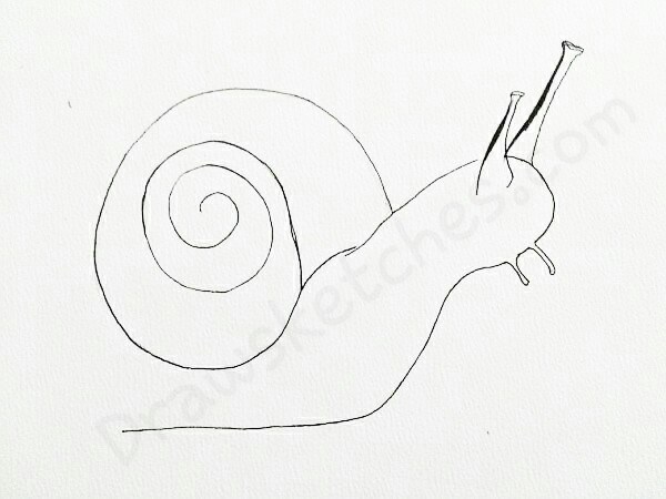 600x450 How To Draw A Snail In A Few Easy Steps With Pictures