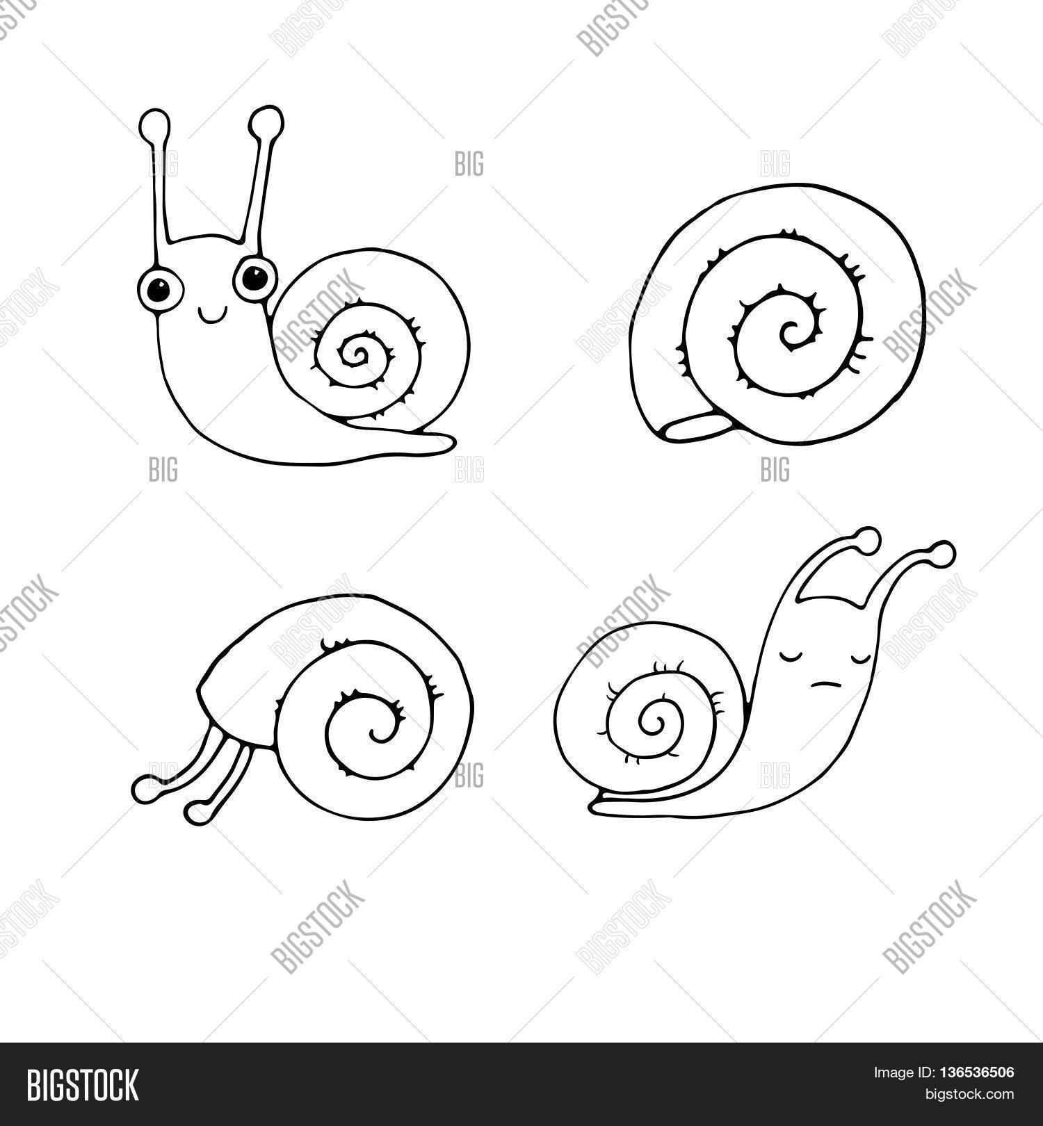 1500x1620 Set Cute Little Snails. Hand Vector Amp Photo Bigstock