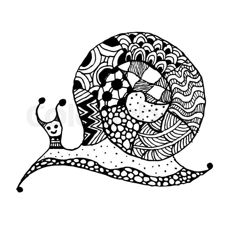 800x800 Art Snail, Zentangle Style For Your Design. Vector Illustration