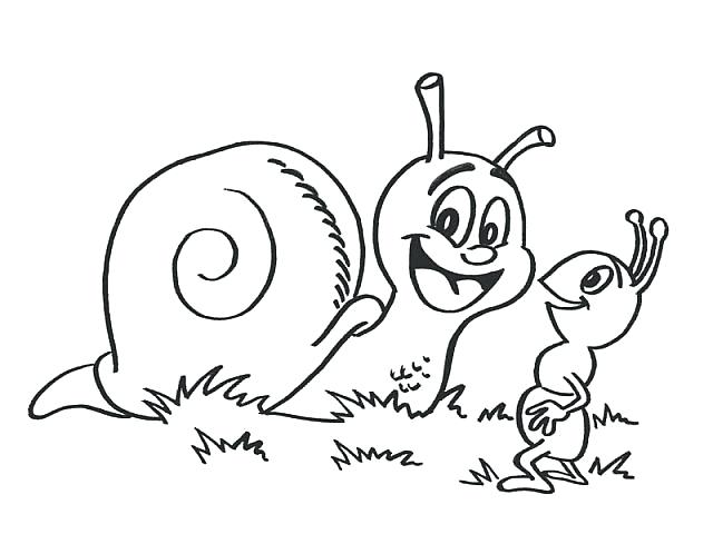 640x480 Snails Coloring Pages Animal Coloring Pages Slugs And Snails