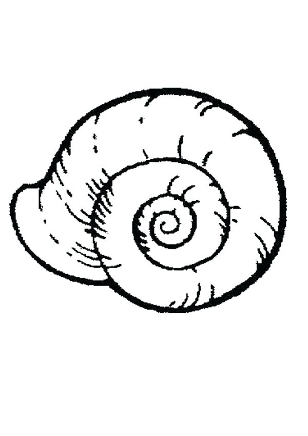 600x849 Snails Coloring Pages Sea Snail Free Coloring Page Slugs