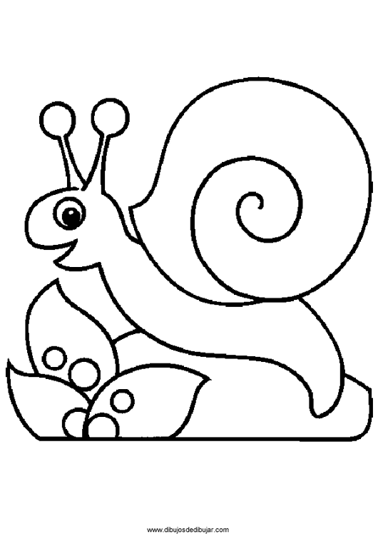 530x748 Dibujos De Caracoles Para Colorear Archives Drawing Drawings