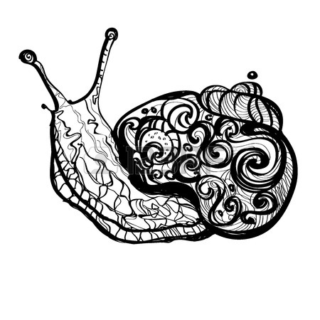 450x450 Hand Drawn Doodle Vector Outline Snail Illustration Decorated