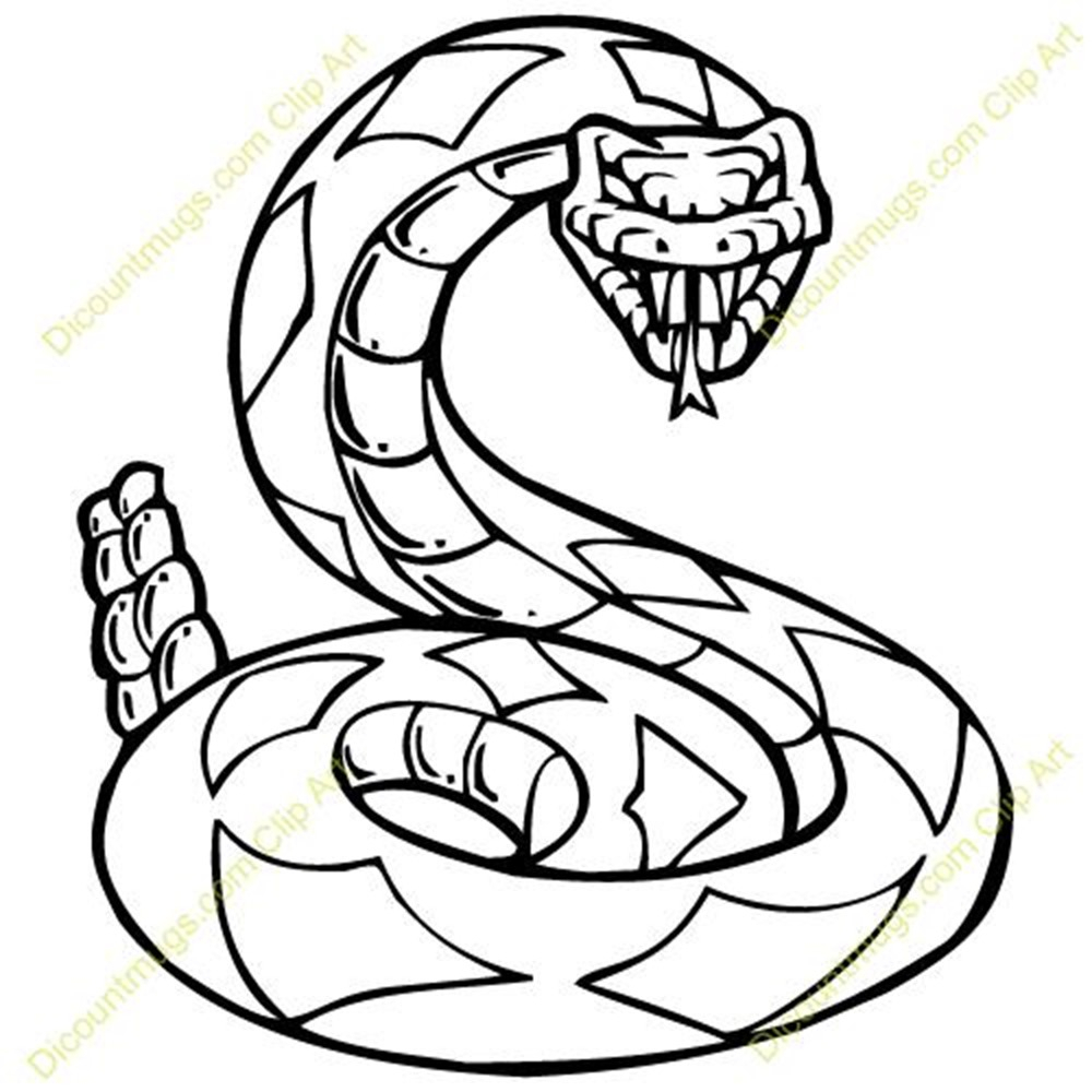 1000x1000 Cool Snake Drawings Rattle Snake Drawing Best Images Collections