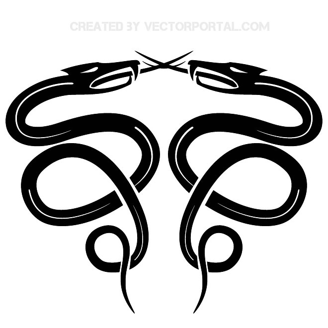 660x660 Snakes Stock Vector Graphic