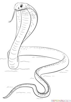 236x336 How To Draw A King Cobra Snake Step 7 Remember To View All