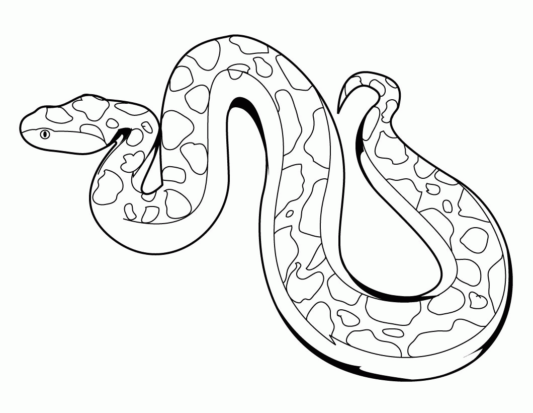 1060x820 How To Draw A Snake Head Draw Snake Heads. How To Draw A Realistic