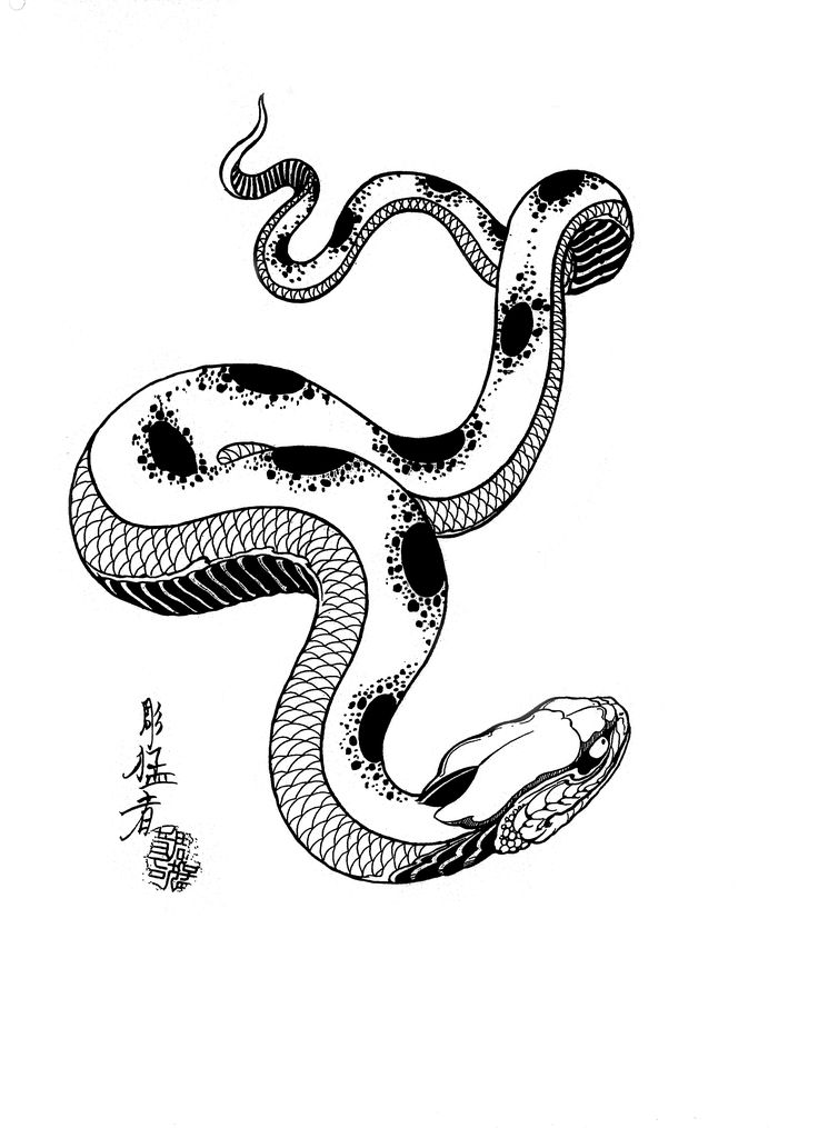 736x1015 7 Best Snake Images On Snakes, Tattoo Designs