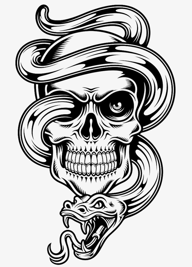 650x902 Vector Venom Skull, Creative, Skull, Snake Png And Vector For Free