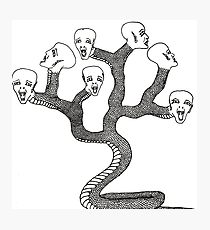 210x230 Snake Bites Drawing Photographic Prints Redbubble