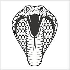 225x225 Snake Head Fangs Drawings Clipart