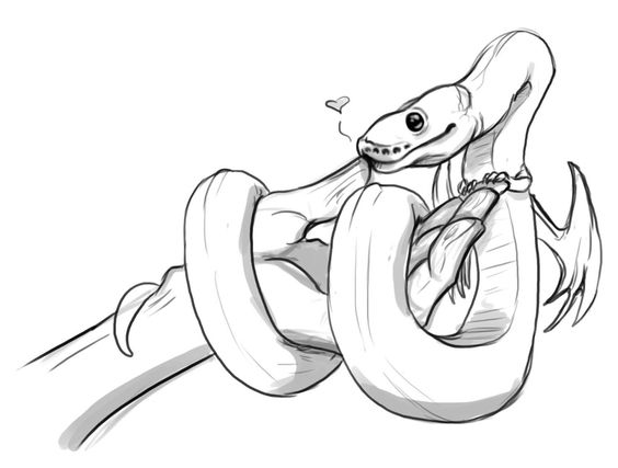 564x427 Art Sketch Doodle Snake Noodle Ball Python Draw
