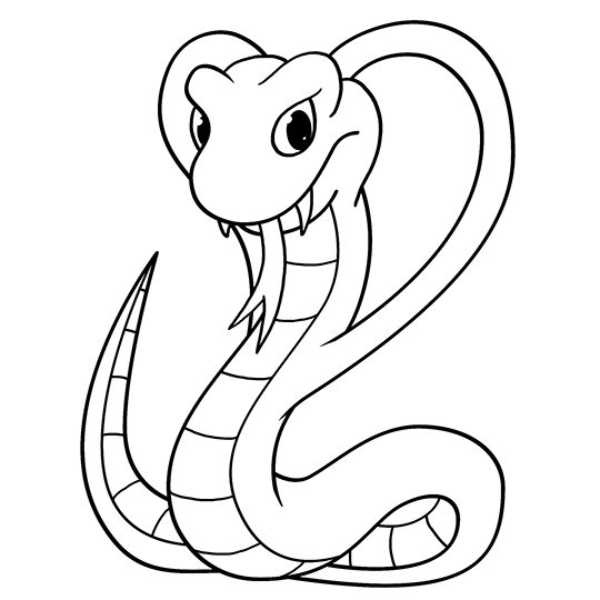 540x540 Cartoon Cobra Step By Step Drawing Lesson