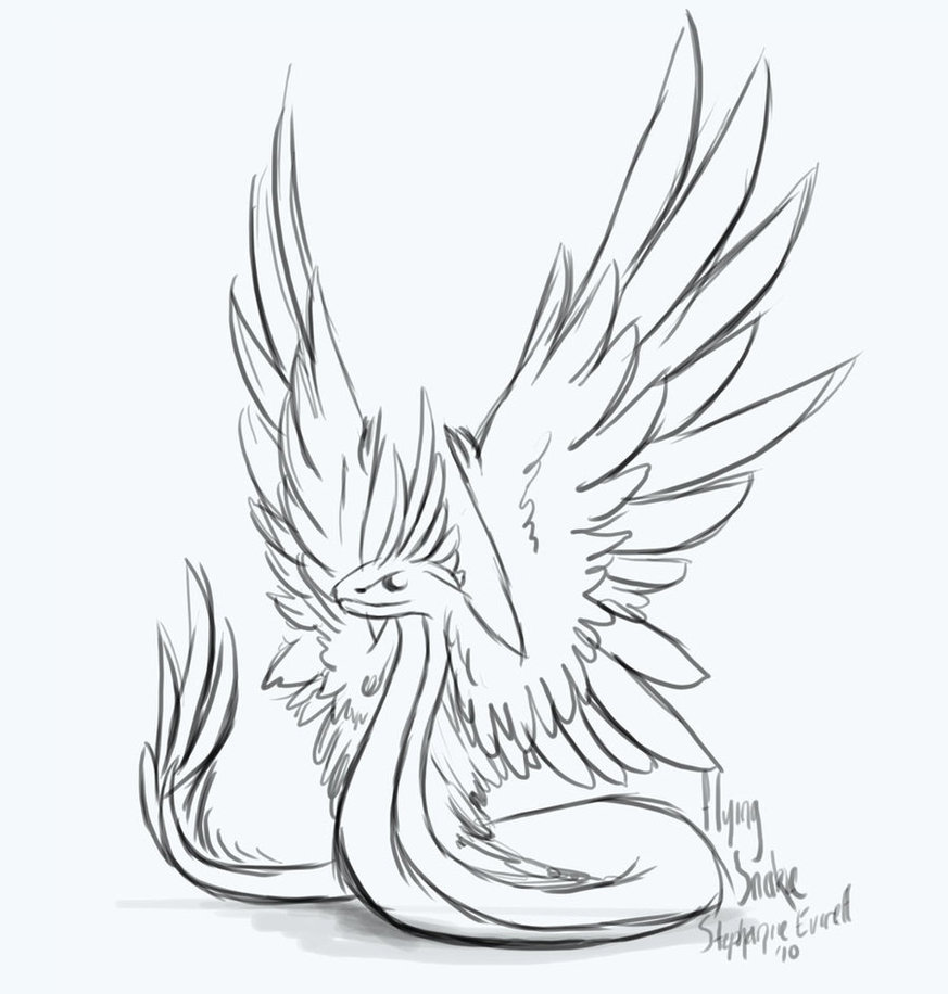 873x916 Winged Snake Sketch By Anuxinamoon