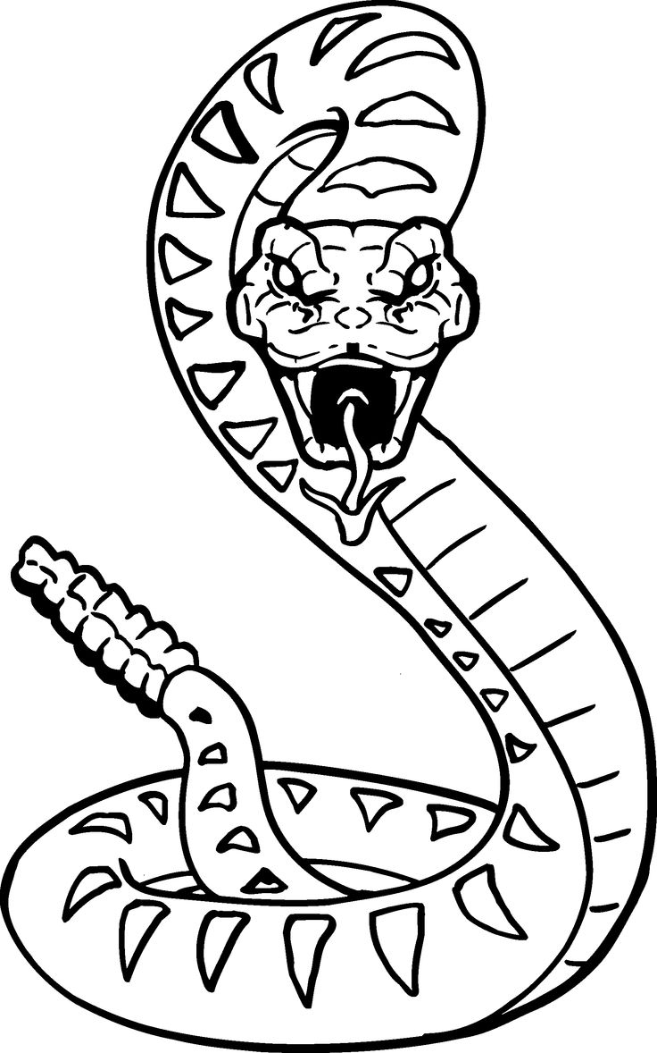 736x1178 A Drawing Of A Snake Best Ideas About Snake Drawing