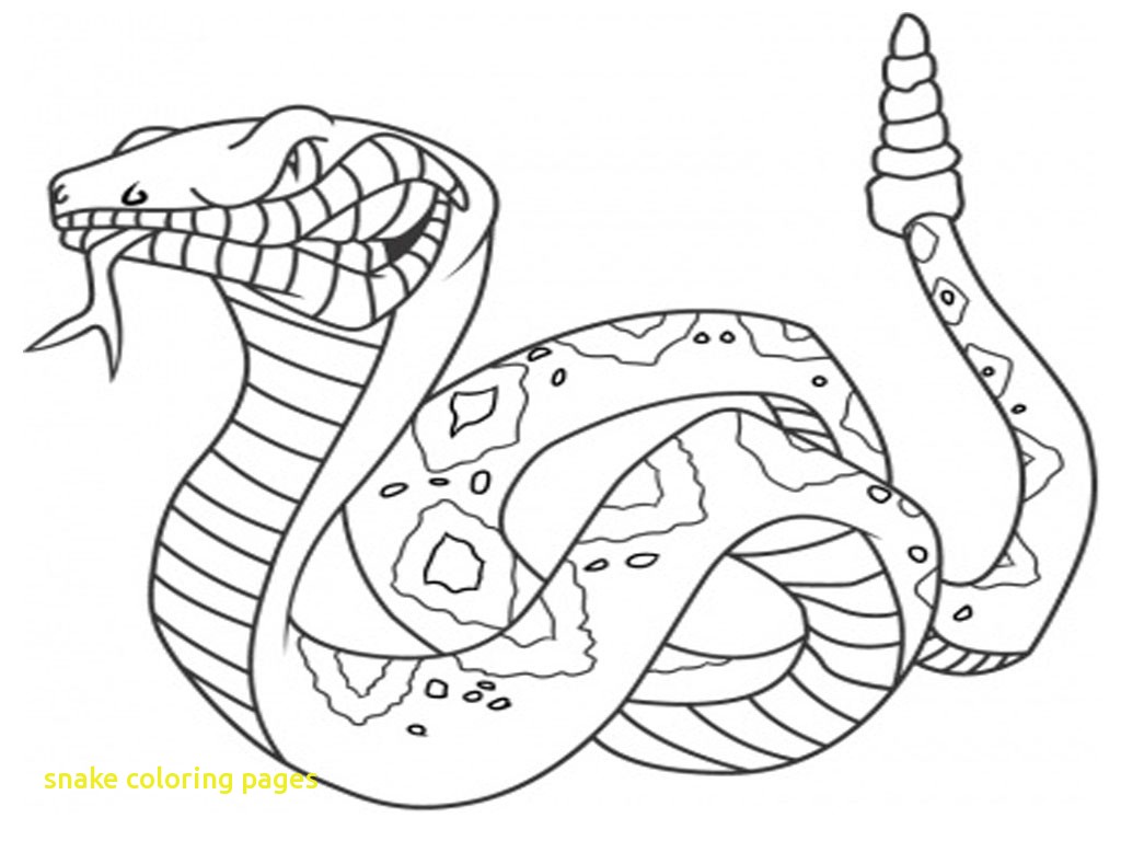 1024x768 Snake Coloring Pages With Snake Coloring Pages 16 Coloring Kids
