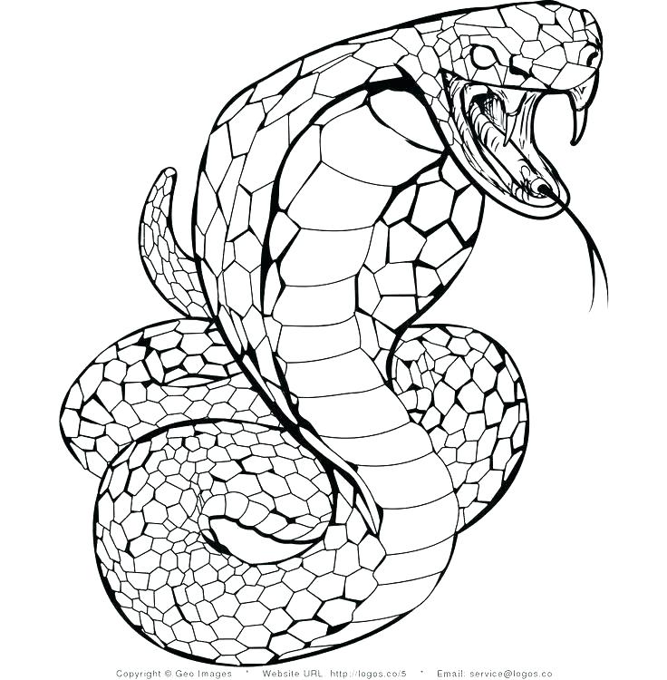 736x750 Snake Coloring Pictures Coloring Page Snake Evil Fairy Adults