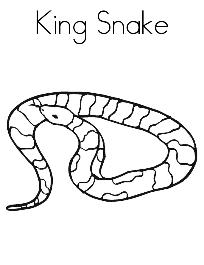 685x886 Snake Pictures To Color Free Printable Snake Coloring Pages