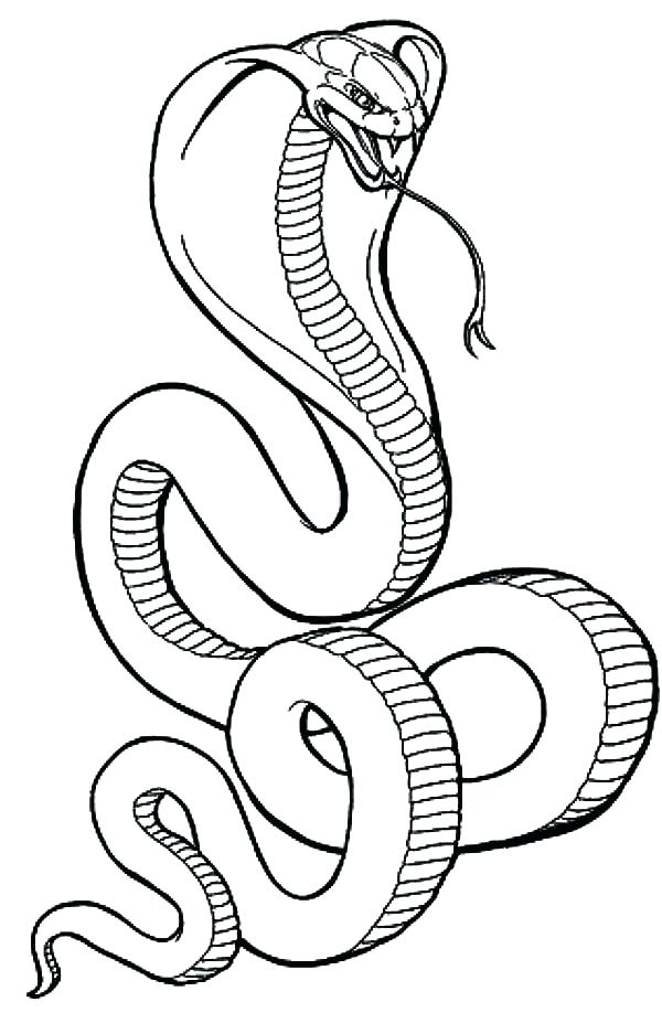 600x937 Coloring Pages Snakes