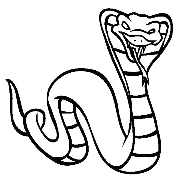 600x612 King Cobra Coloring Pages