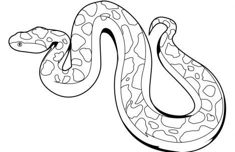 469x304 Snake Coloring Pages For Kids Just Colorings