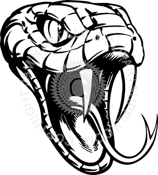 326x361 Pin By Vadim Kravets On Snake