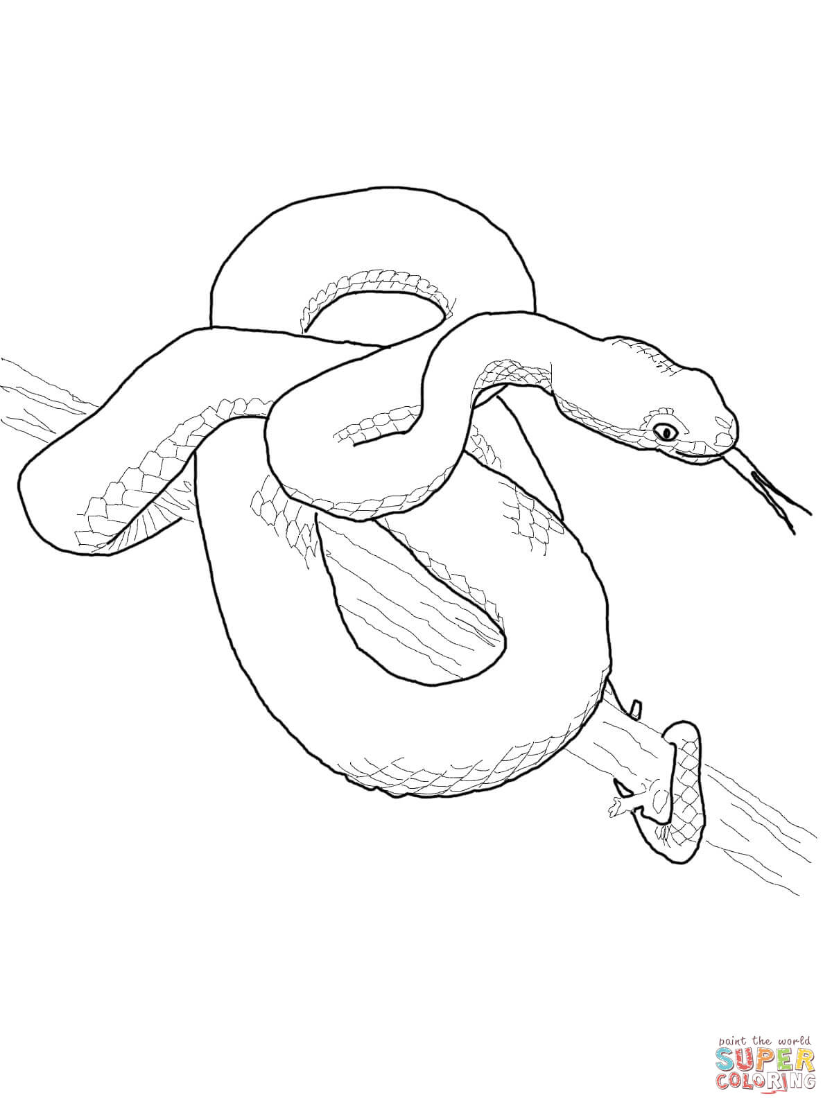 1200x1600 Snake Coloring Pages Page Image Clipart Images