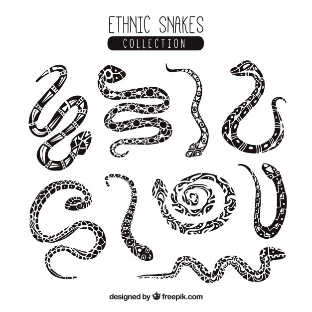 626x626 Snake Vectors, Photos And Psd Files Free Download