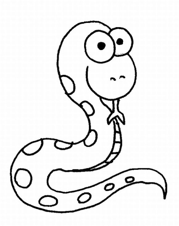 581x731 Snake Drawing Coloring ~ Child Coloring