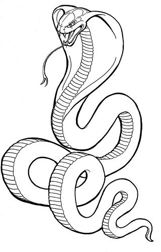 320x500 Cobra Snake Drawings Easy To Draw Cobra Snake