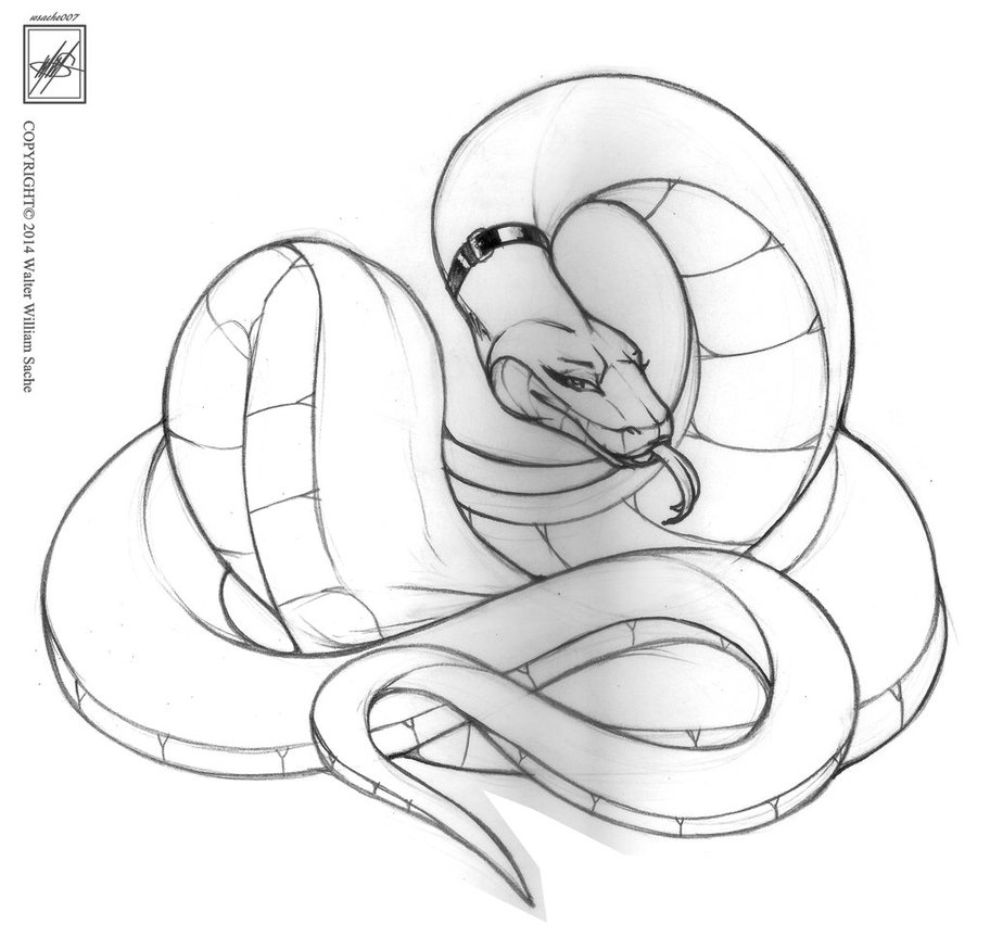 912x875 My Precious Large Guard Snake ^3^ Wip By Wsache007