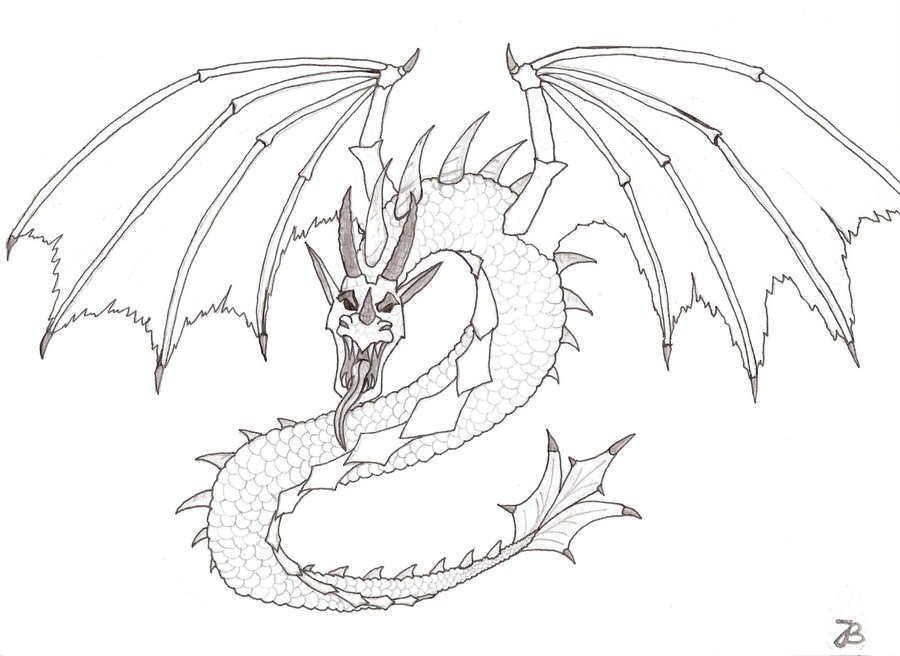 900x656 Snake Dragon By Ki Cortana