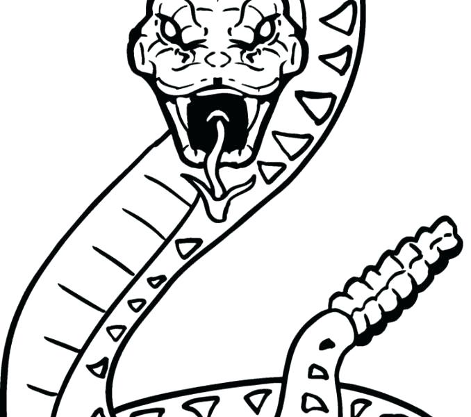 678x600 Coloring Pages Snake