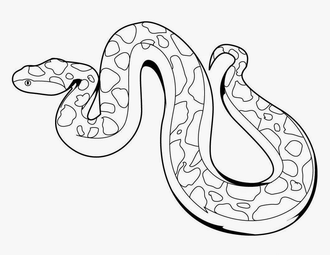 1060x820 Colours Drawing Wallpaper Snake Portrait For Kids Colour Drawing