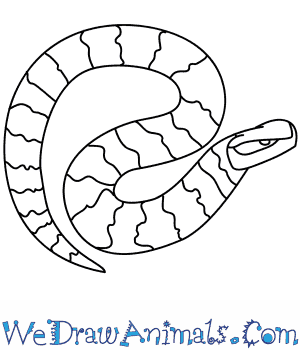 300x350 How To Draw A Cottonmouth