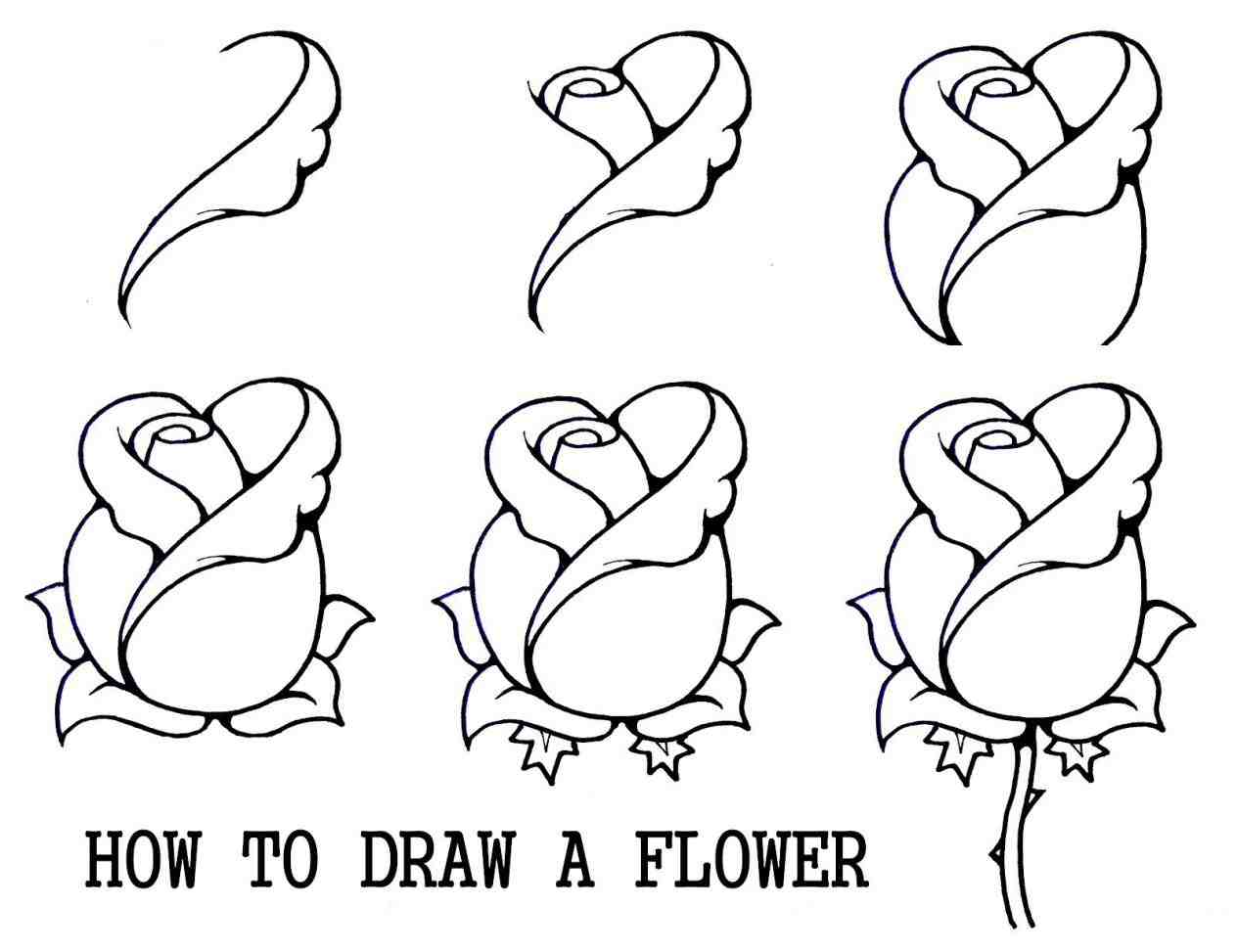 1264x973 How To Draw A Snake Step By Step For Kids