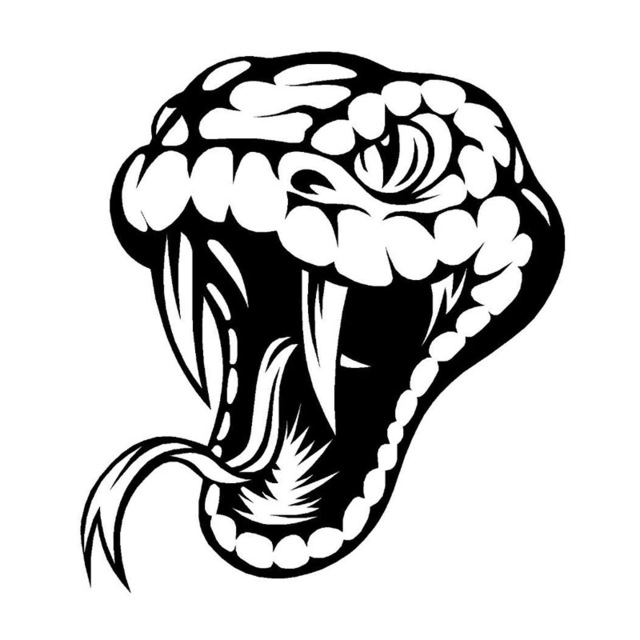 640x640 Poisonous Reptile Cool Snake Head Car Stickers Decorative Car Body