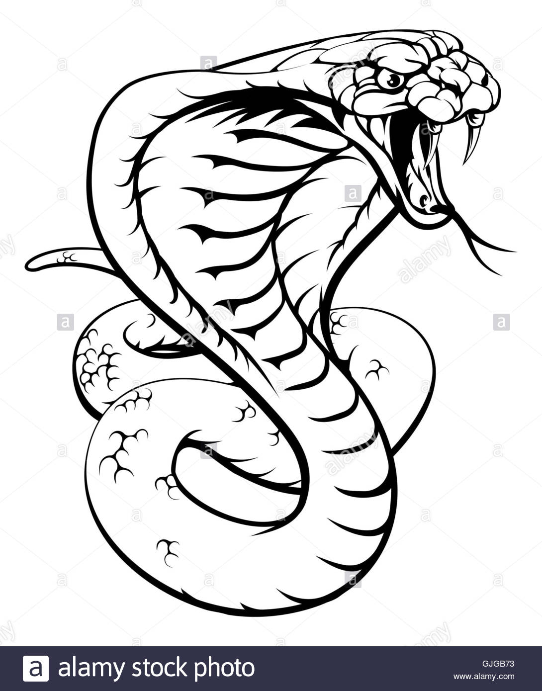 1090x1390 An Illustration Of A King Cobra Snake In Black And White Stock