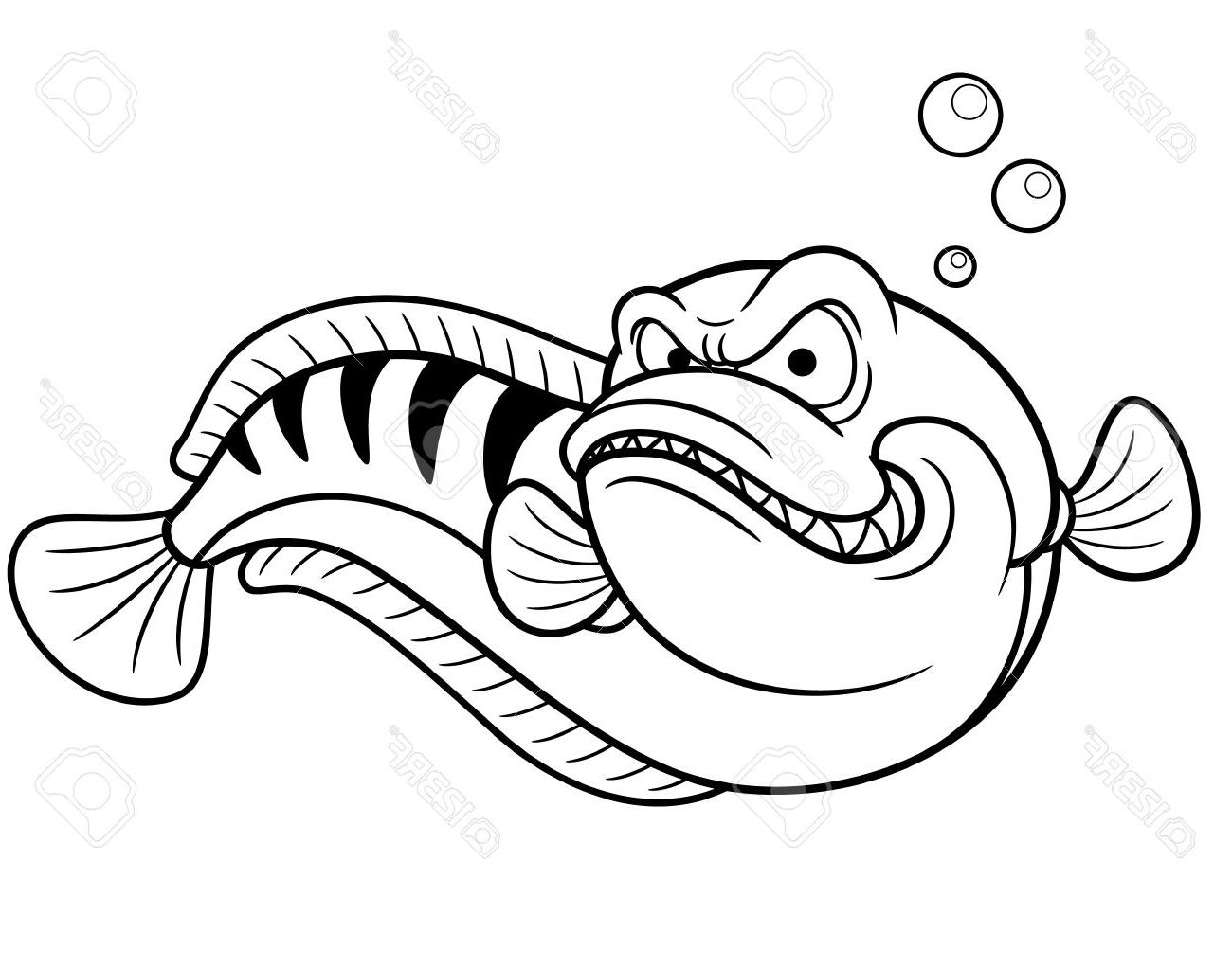 1300x1023 Best 15 Vector Illustration Of Giant Snakehead Fish Coloring Book