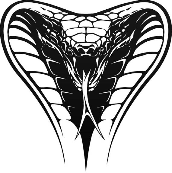 570x573 Cobra Snake