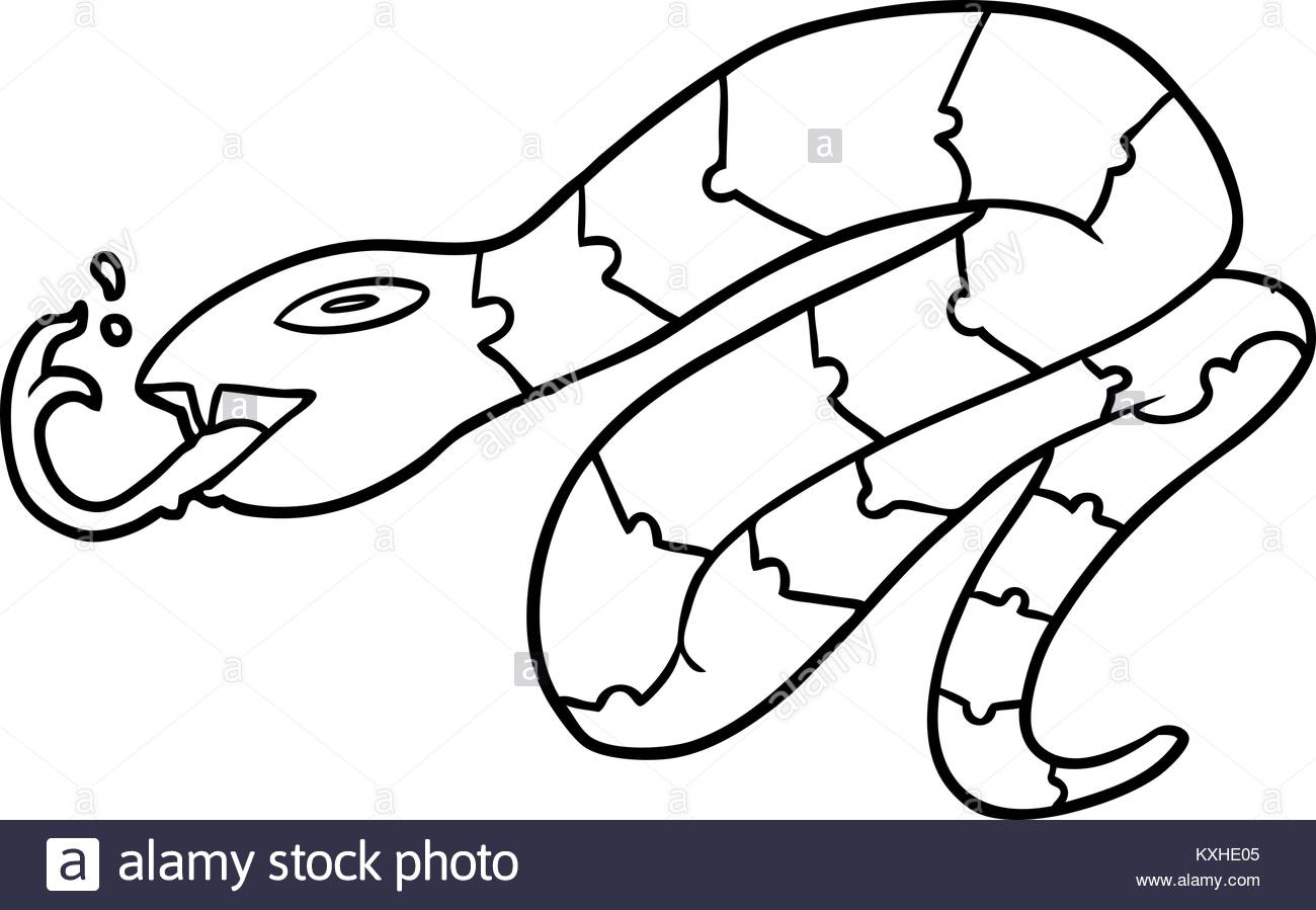 1300x899 Drawing Of A Snake Stock Photos Amp Drawing Of A Snake Stock Images